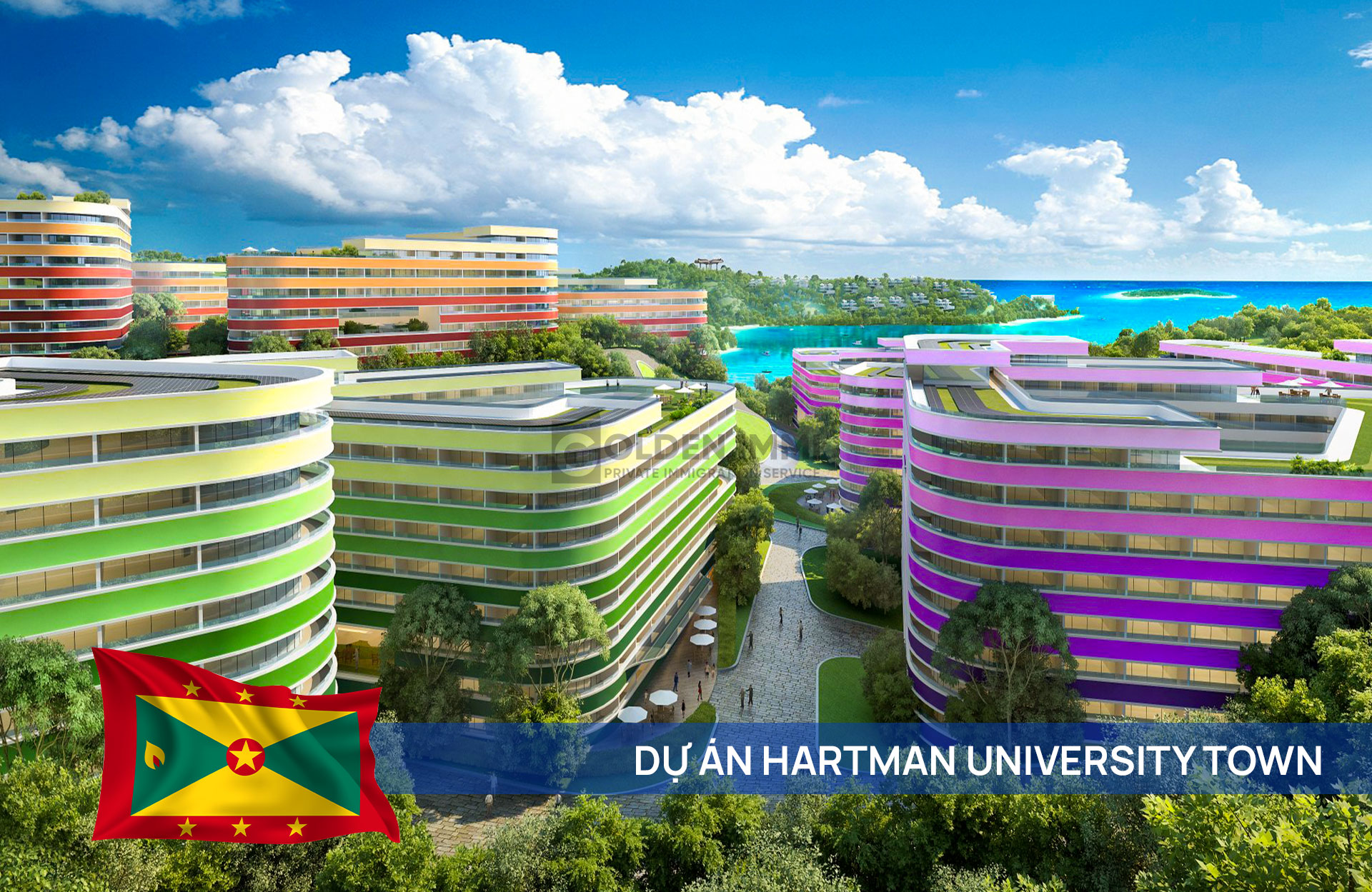 Hartman University Town